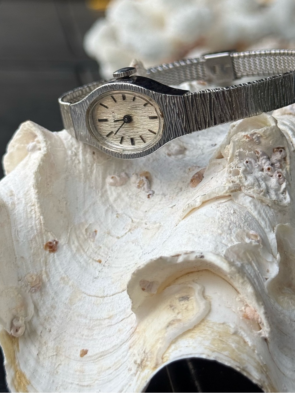 Timex Silver-Tone Wind up analog Ladies Watch